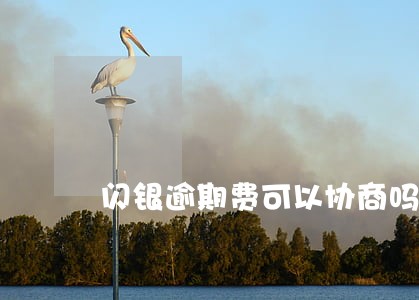 闪银逾期费可以协商吗 闪银逾期费可以协商吗