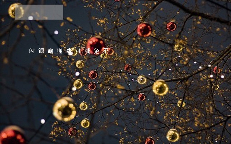 闪银逾期费可减免不 闪银逾期费可减免不