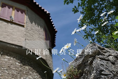 闪银逾期费合理吗 闪银逾期费合理吗
