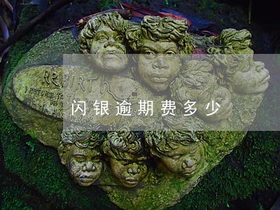 闪银逾期费多少 闪银逾期费多少
