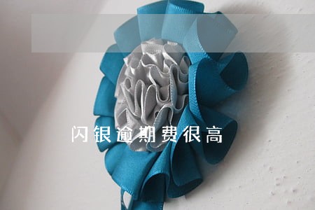 闪银逾期费很高 闪银逾期费很高