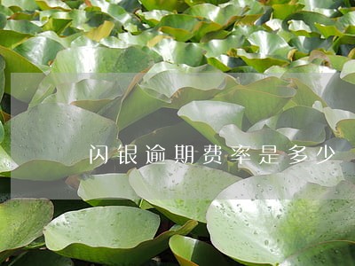 闪银逾期费率是多少 闪银逾期费率是多少