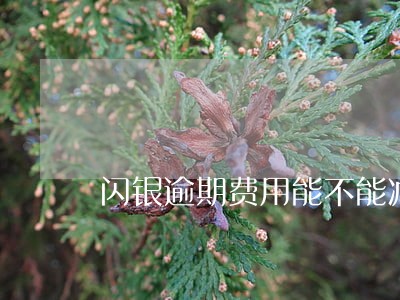 闪银逾期费用能不能减免 闪银逾期费用能不能减免