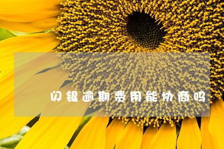 闪银逾期费用能协商吗 闪银逾期费用能协商吗