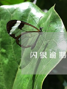 闪银逾期费高吗 闪银逾期费高吗