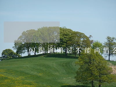闪银逾期过不能再借么 闪银逾期过不能再借么