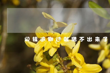 闪银逾期过就借不出来了吗