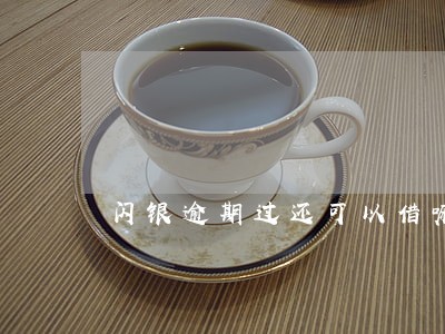 闪银逾期过还可以借嘛