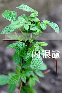 闪银逾期还上后还能借吗 闪银逾期还上后还能借吗
