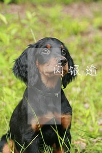 闪银逾期还不起能不能协商