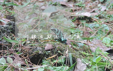 闪银逾期还了7天 闪银逾期还了7天