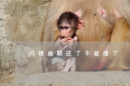 闪银逾期还了不能借了 闪银逾期还了不能借了