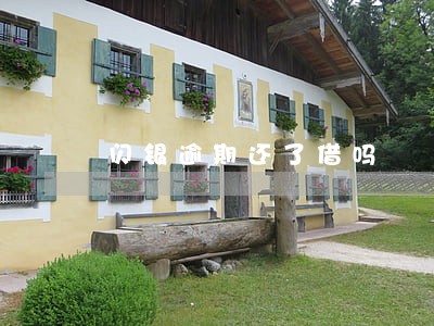 闪银逾期还了借吗 闪银逾期还了借吗