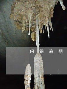 闪银逾期还了多久解冻