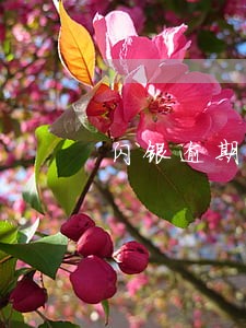 闪银逾期还了怎么解封
