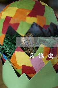 闪银逾期还了能借吗 闪银逾期还了能借吗