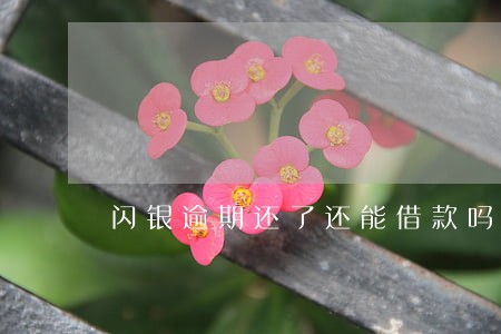 闪银逾期还了还能借款吗 闪银逾期还了还能借款吗