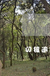 闪银逾期还了还能再借吗 闪银逾期还了还能再借吗