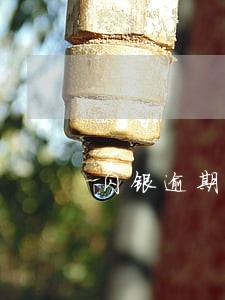 闪银逾期还了还能用吗6 闪银逾期还了还能用吗6
