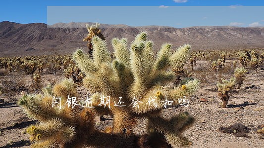闪银逾期还会代扣吗 闪银逾期还会代扣吗