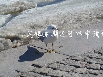 闪银逾期还可以申请什么网贷 闪银逾期还可以申请什么网贷