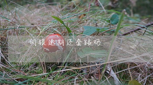 闪银逾期还套路吗 闪银逾期还套路吗