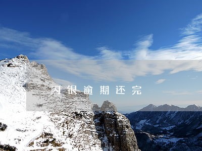 闪银逾期还完
