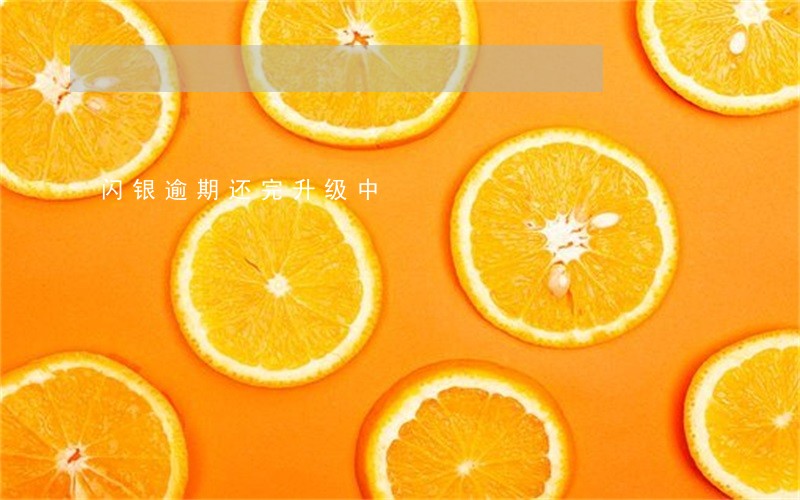 闪银逾期还完升级中 闪银逾期还完升级中