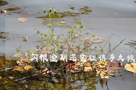 闪银逾期还完征信多久恢复 闪银逾期还完征信多久恢复