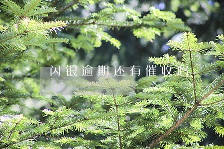 闪银逾期还有催收吗 闪银逾期还有催收吗