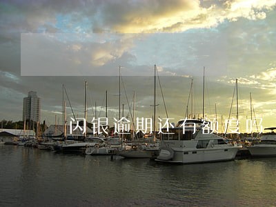 闪银逾期还有额度吗 闪银逾期还有额度吗