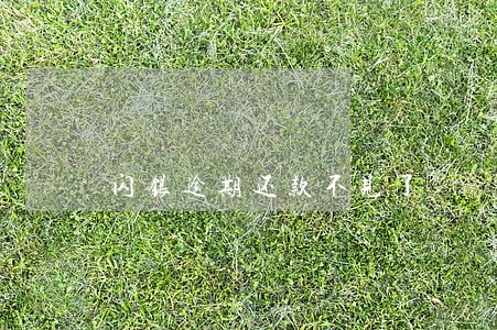 闪银逾期还款不见了 闪银逾期还款不见了