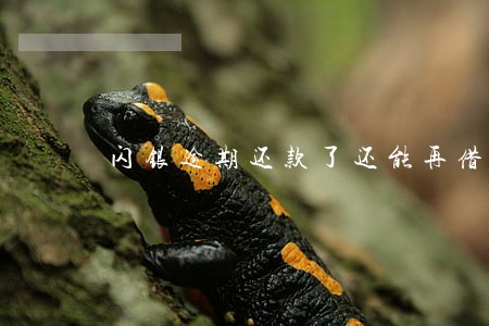 闪银逾期还款了还能再借吗 闪银逾期还款了还能再借吗