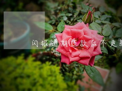闪银逾期还款后不更新 闪银逾期还款后不更新