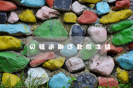 闪银逾期还款后冻结 闪银逾期还款后冻结
