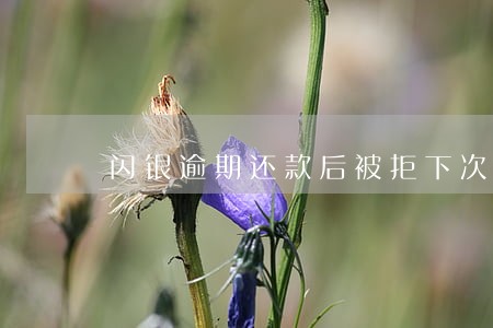 闪银逾期还款后被拒下次还能借吗 闪银逾期还款后被拒下次还能借吗