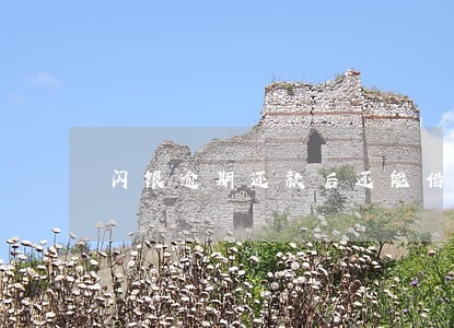 闪银逾期还款后还能借吗 闪银逾期还款后还能借吗