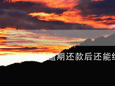 闪银逾期还款后还能续借吗