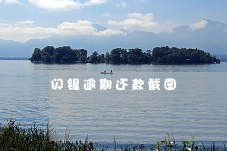 闪银逾期还款截图
