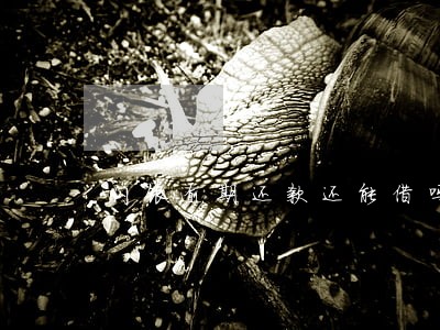 闪银逾期还款还能借吗 闪银逾期还款还能借吗