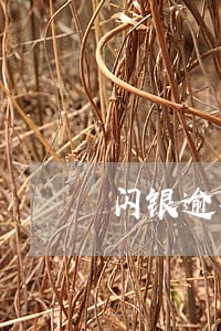 闪银逾期还清了还能用吗 闪银逾期还清了还能用吗