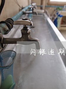 闪银逾期还能借吗6 闪银逾期还能借吗6