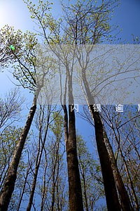 闪银逾期还能借嘛 闪银逾期还能借嘛