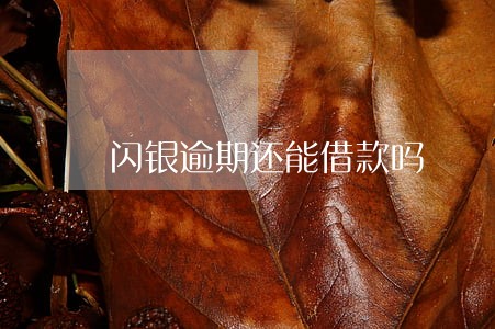 闪银逾期还能借款吗 闪银逾期还能借款吗