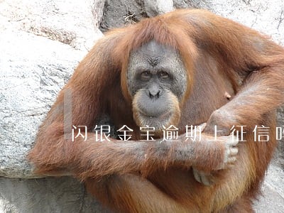 闪银金宝逾期上征信吗 闪银金宝逾期上征信吗