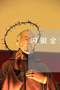 闪银金宝逾期怎么办