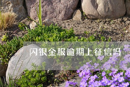 闪银金服逾期上征信吗 闪银金服逾期上征信吗