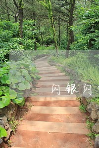 闪银闪电借款逾期 闪银闪电借款逾期