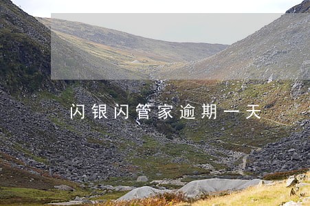 闪银闪管家逾期一天