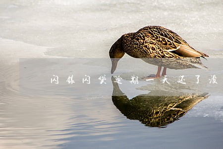 闪银闪贷逾期一天还了没额度 闪银闪贷逾期一天还了没额度